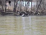 Mahoning River March 11th 2012